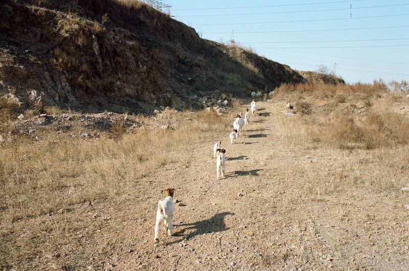 © Chunhan Chen - Image from the After Summer photography project