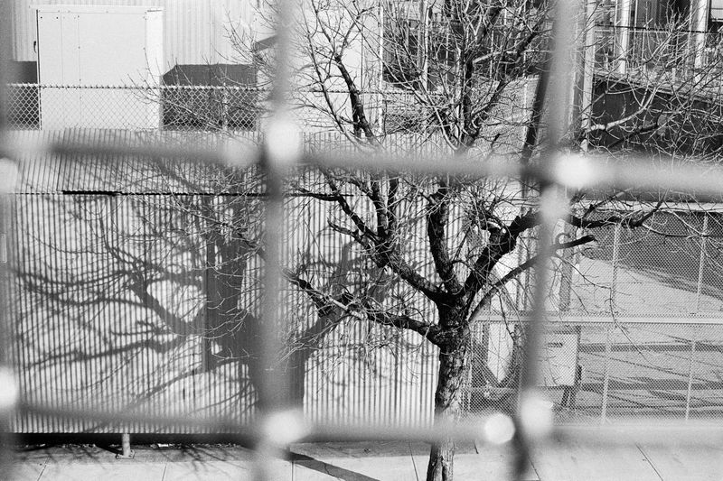 © Chunhan Chen - Image from the Never Normal, Never Perfect, Never Loved photography project