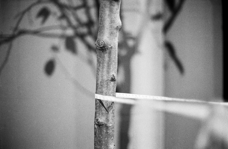 © Chunhan Chen - Image from the Never Normal, Never Perfect, Never Loved photography project
