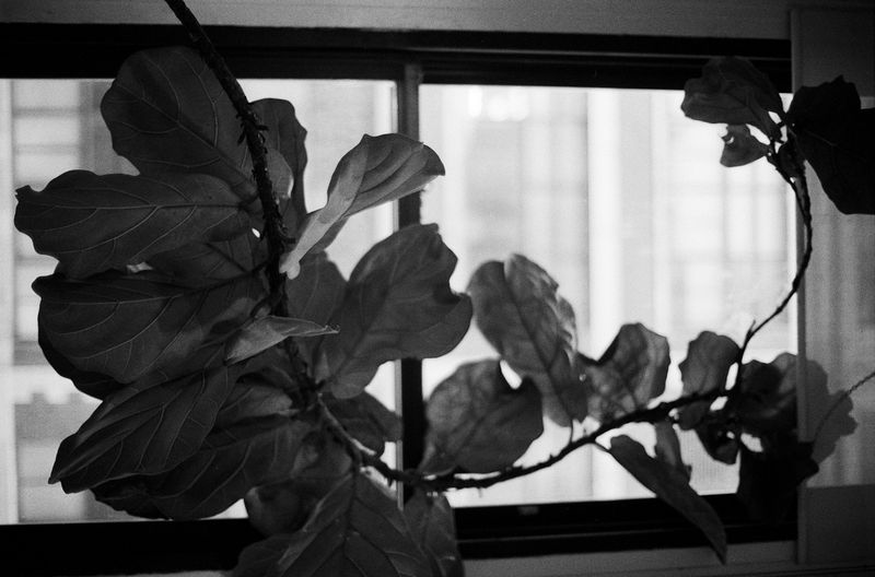 © Chunhan Chen - Image from the Never Normal, Never Perfect, Never Loved photography project