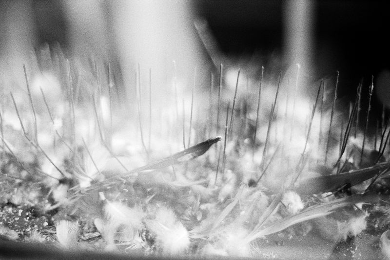 © Chunhan Chen - Image from the Never Normal, Never Perfect, Never Loved photography project