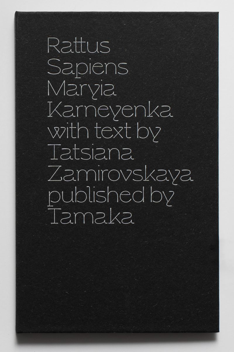 Image from a project on PhMuseum