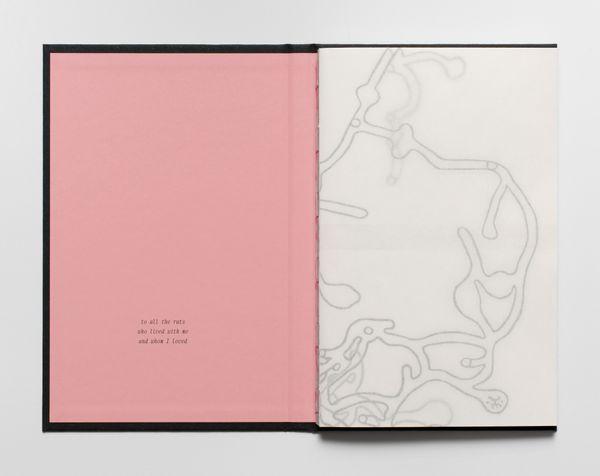 Image from a project on PhMuseum