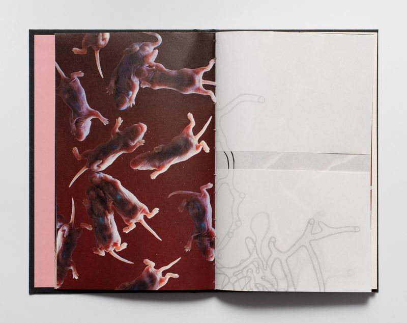 Image from a project on PhMuseum