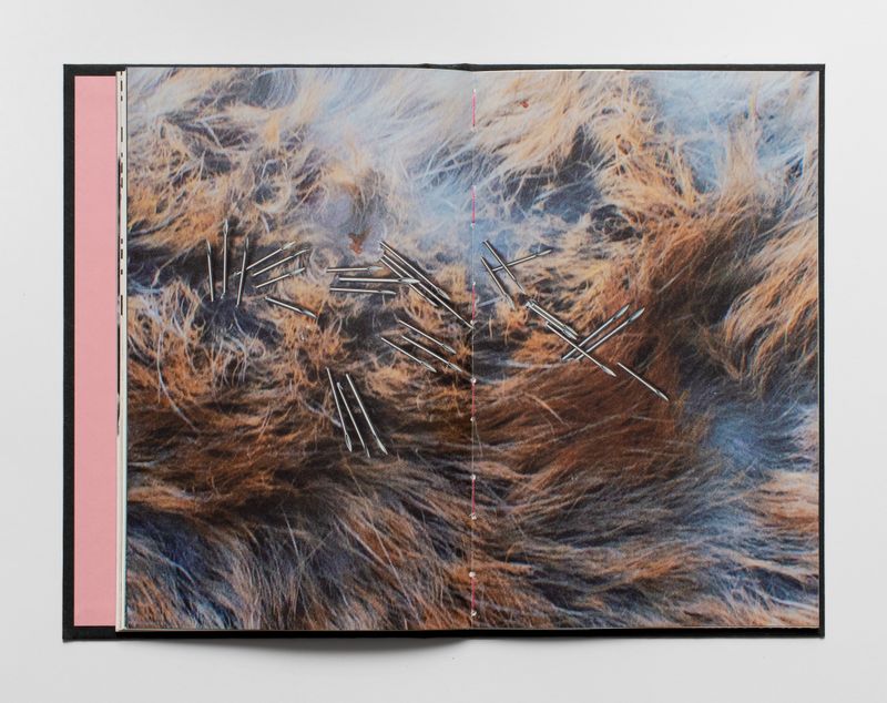 Image from a project on PhMuseum