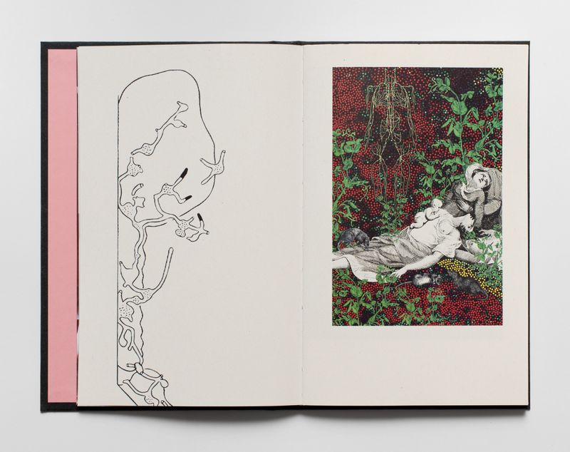 Image from a project on PhMuseum