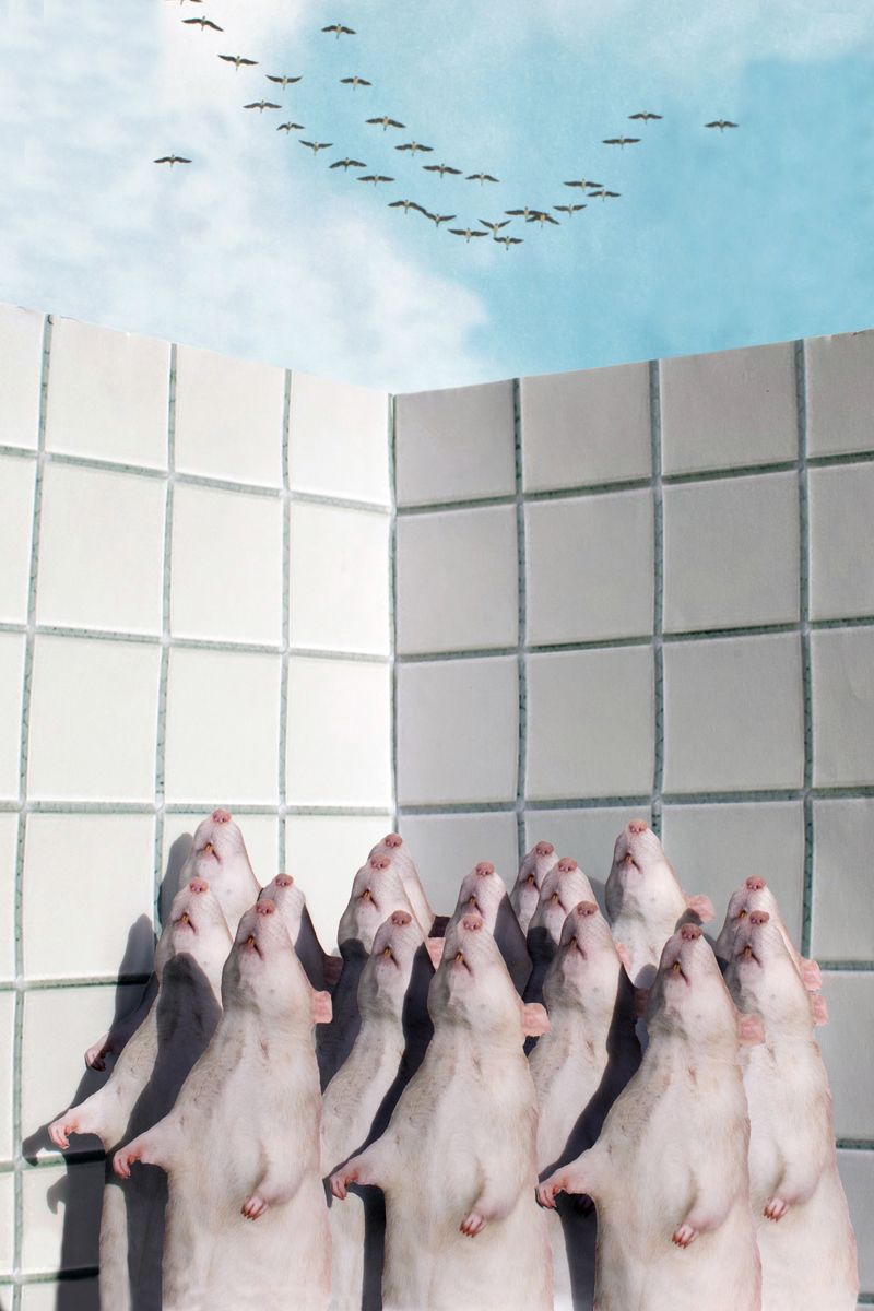 Image from a project on PhMuseum