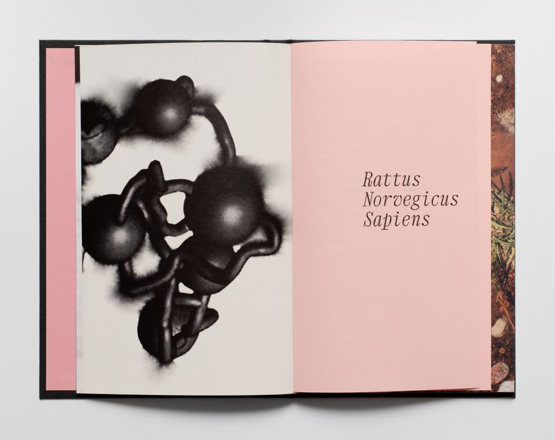 Image from a project on PhMuseum