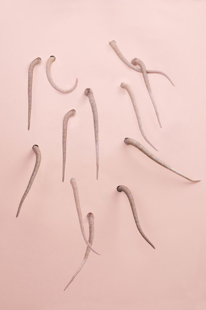 Image from a project on PhMuseum