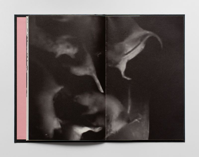 Image from a project on PhMuseum