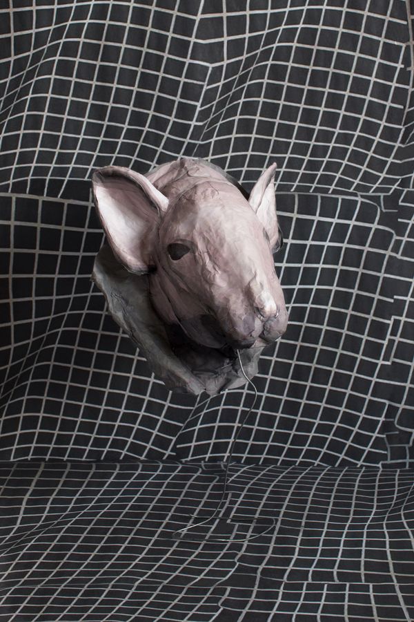 Image from a project on PhMuseum