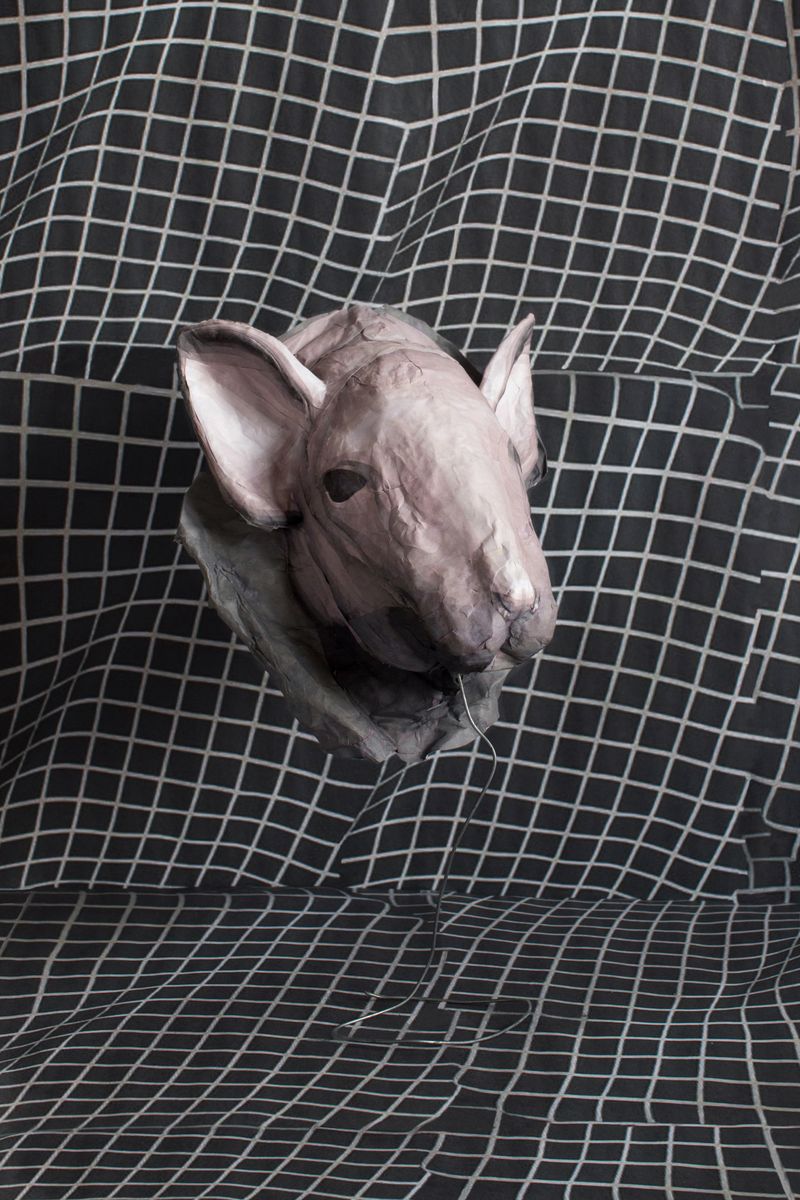 Image from a project on PhMuseum