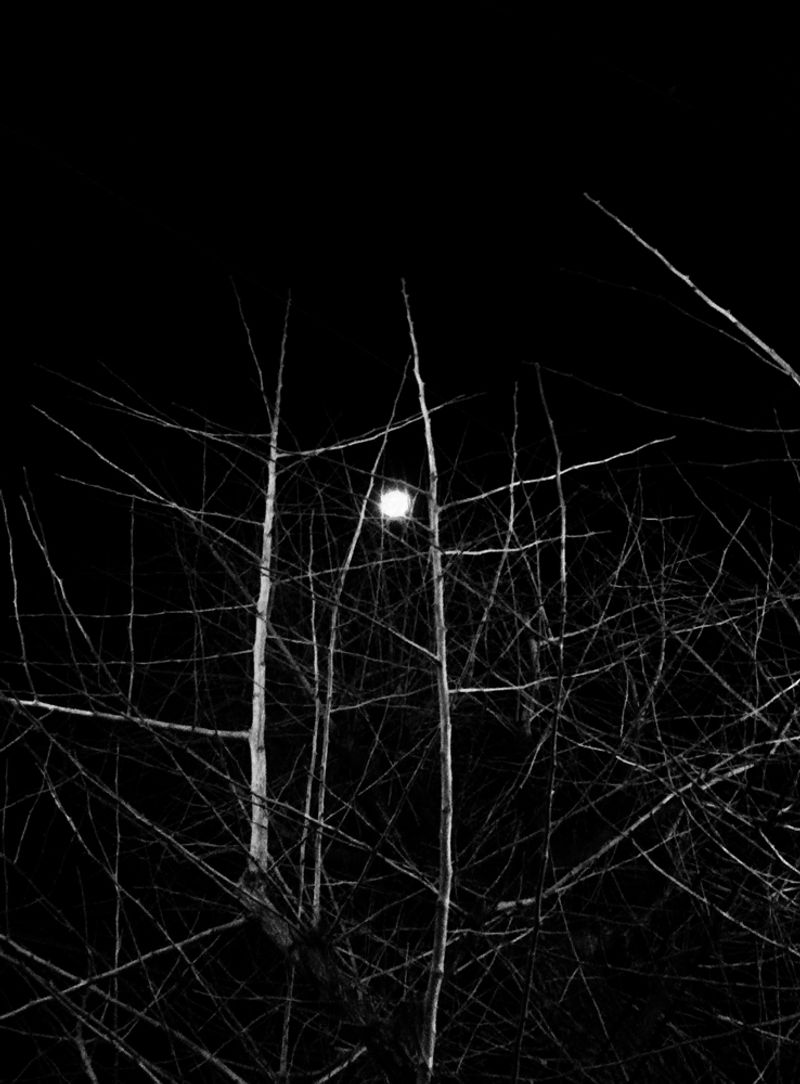 © Moe Suzuki - Image from the SOKOHI photography project