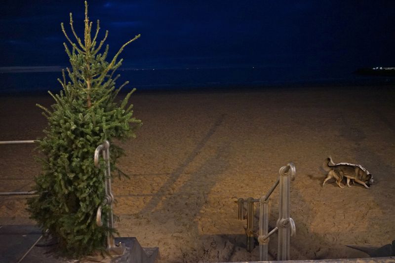 © Hendrik Braet - Wrong