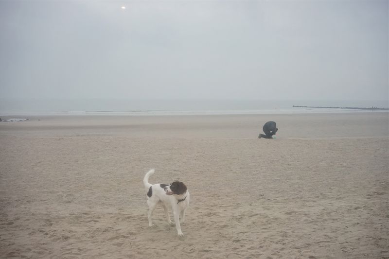 © Hendrik Braet - Right