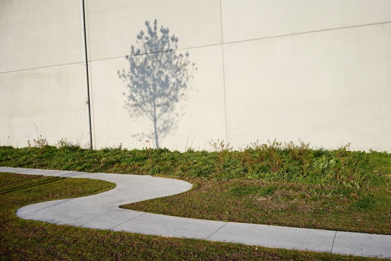 © Hendrik Braet - Rush