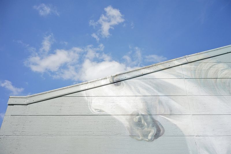 © Hendrik Braet - Burn