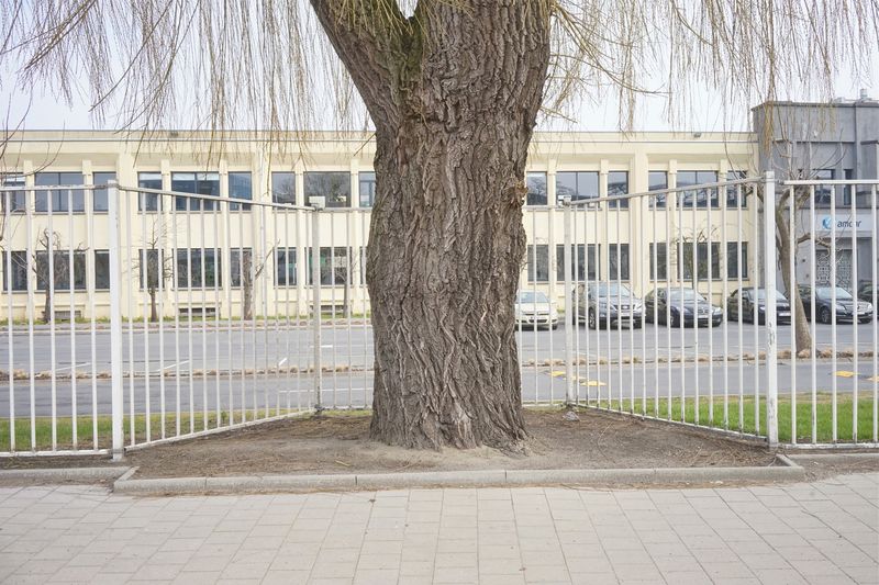 © Hendrik Braet - Home