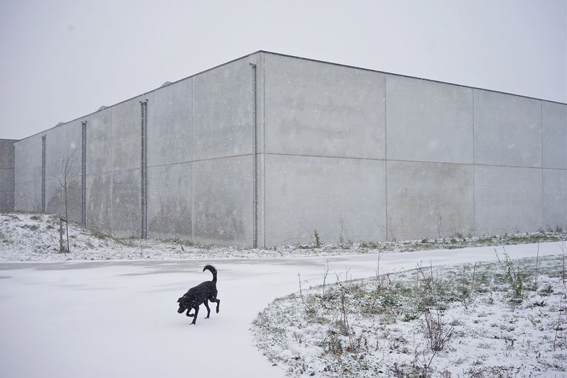 © Hendrik Braet - Dark