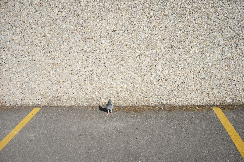 © Hendrik Braet - Park