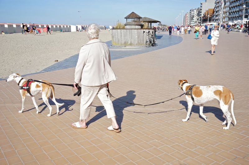 © Hendrik Braet - Image from the The Dyke photography project