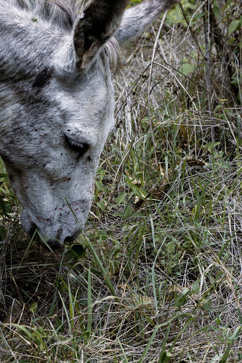 © Paloma Lounice - Image from the No Le Digas Al Abuelo (Don't Tell Grampa) photography project