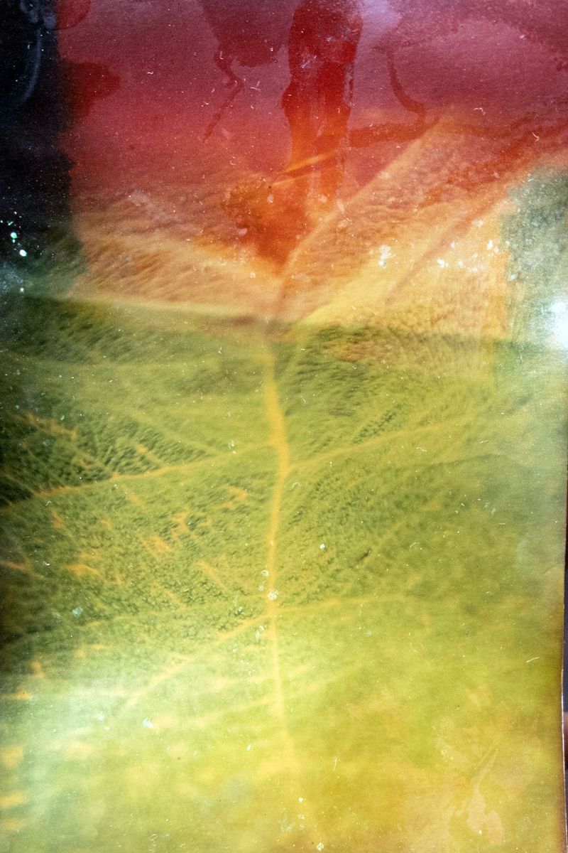 © Paloma Lounice - Image from the No Le Digas Al Abuelo (Don't Tell Grampa) photography project