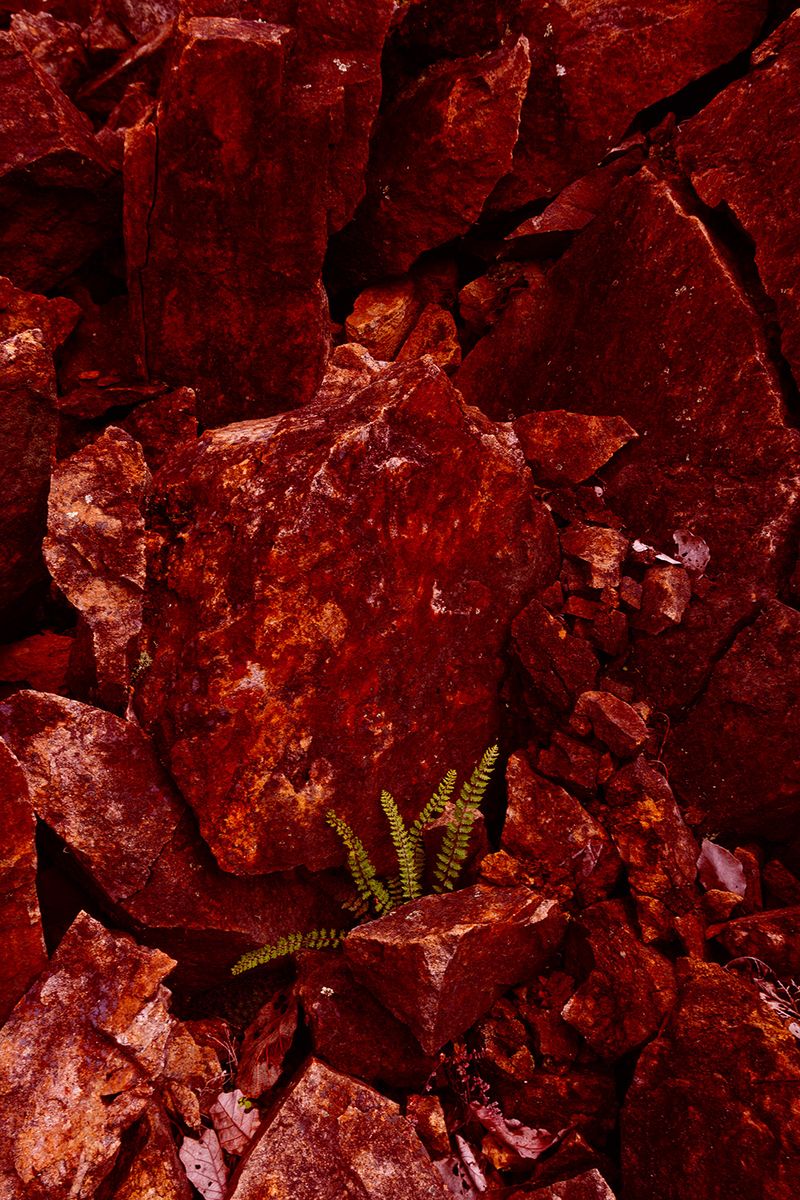 © Paloma Lounice - Image from the No Le Digas Al Abuelo (Don't Tell Grampa) photography project