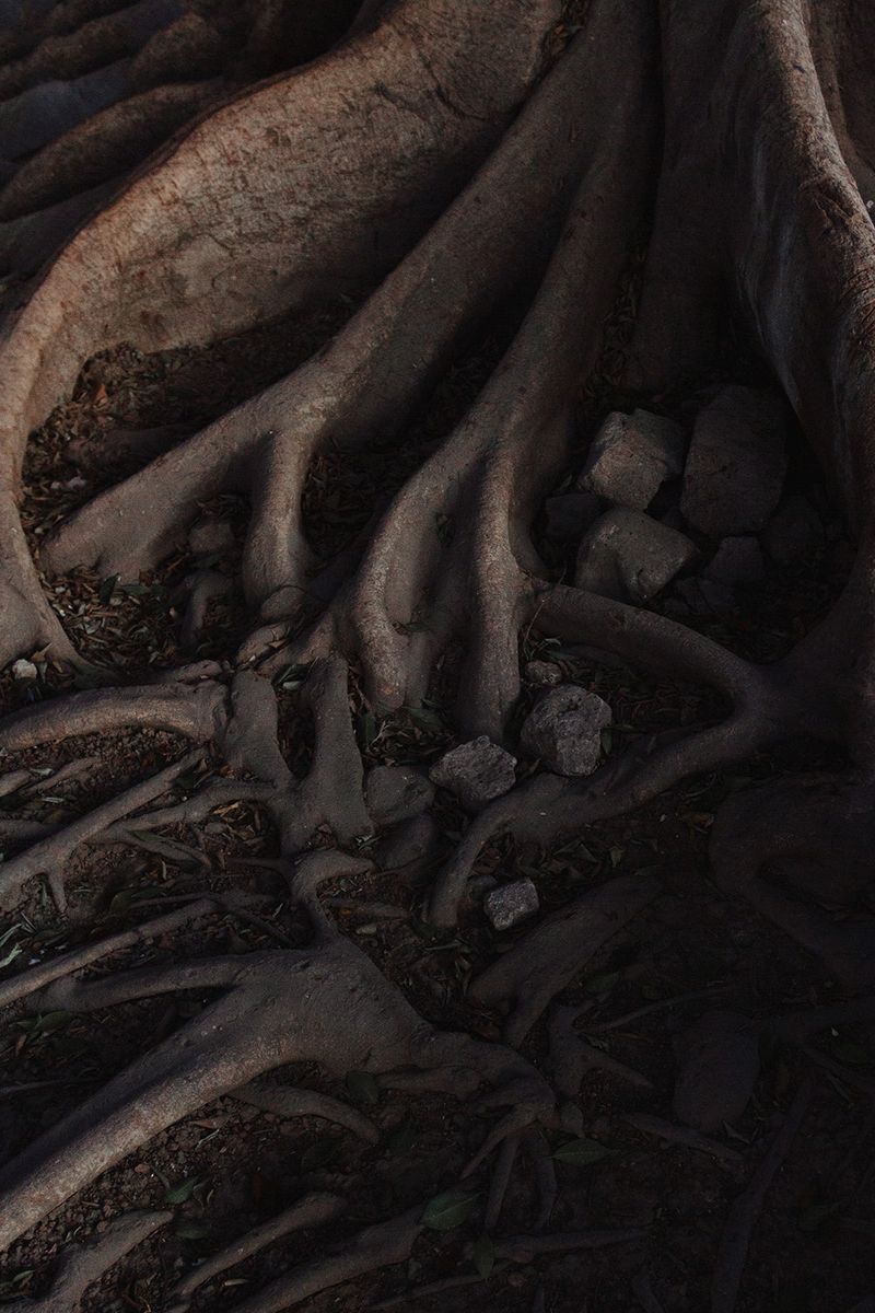 © Paloma Lounice - Image from the No Le Digas Al Abuelo (Don't Tell Grampa) photography project