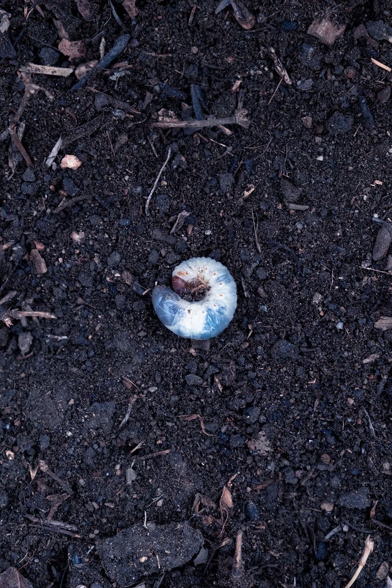 © Paloma Lounice - Image from the No Le Digas Al Abuelo (Don't Tell Grampa) photography project