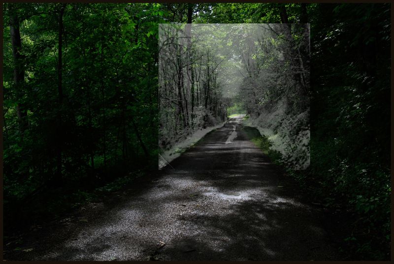 © Paloma Lounice - The Way Home, Project: Ramona, Digital Print, 2022.