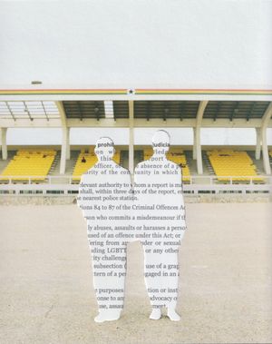 The Promotion of Proper Human Sexual Rights and Family Values