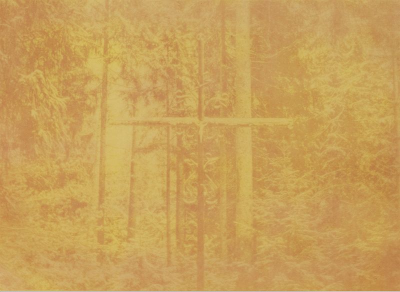 © Krista Svalbonas - Partisan 1, Seabuckthorn anthotype