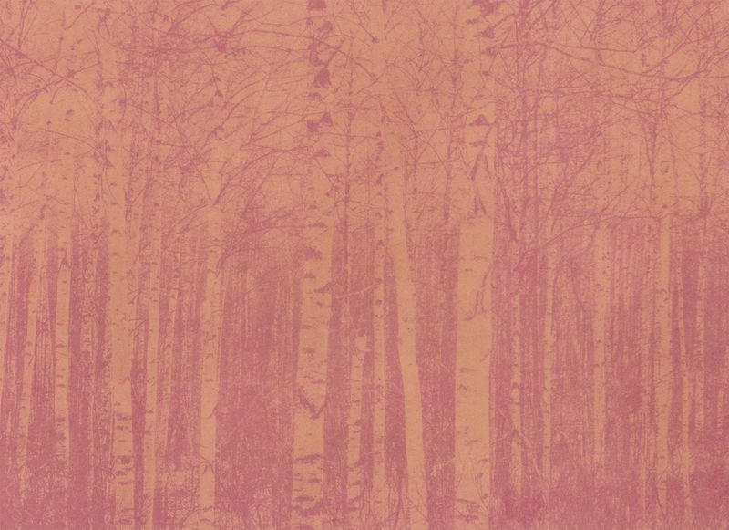 © Krista Svalbonas - Partisan 9, Beet and Seabuckthorn anthotype