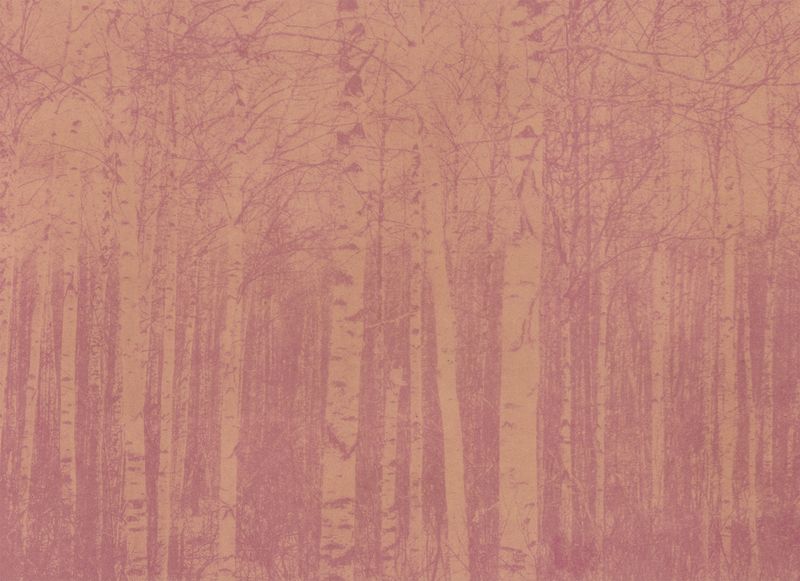 © Krista Svalbonas - Partisan 9, Beet and Seabuckthorn anthotype