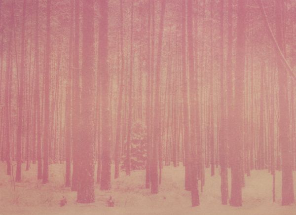 © Krista Svalbonas - Partisan 2, beet anthotype