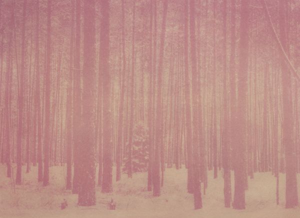 © Krista Svalbonas - Partisan 2, beet anthotype