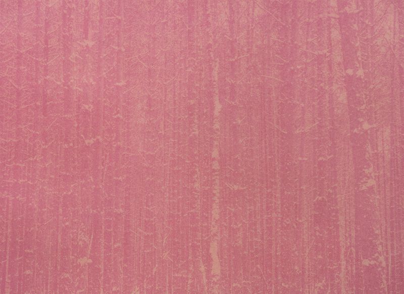 © Krista Svalbonas - Partisan 8, beet anthotype