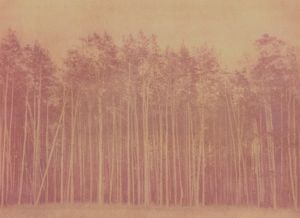 Echoes of Resistance