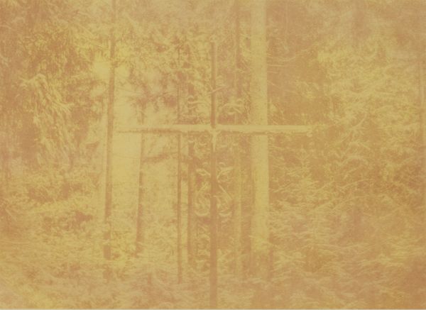 © Krista Svalbonas - Partisan 1, Seabuckthorn anthotype