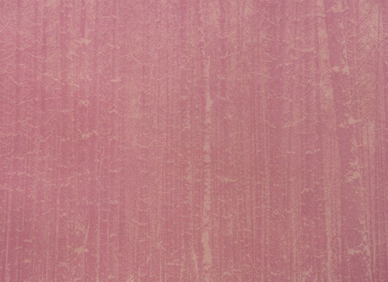 © Krista Svalbonas - Partisan 8, beet anthotype