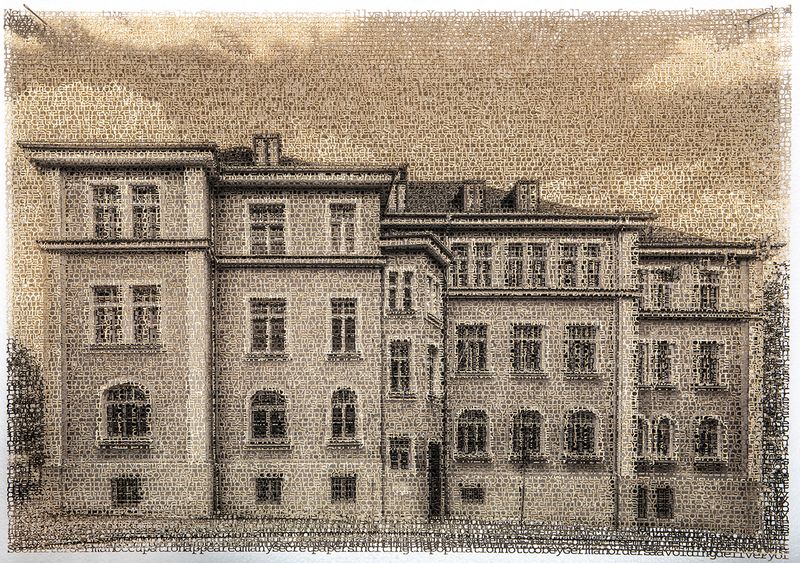 © Krista Svalbonas - Kempten, laser cut pigment prints 14x 21, 2019