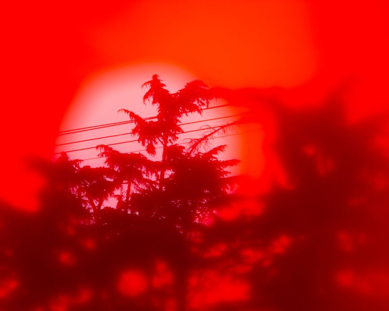 © Clara Marconato - Image from the Asteroid 2009 FJ1 photography project