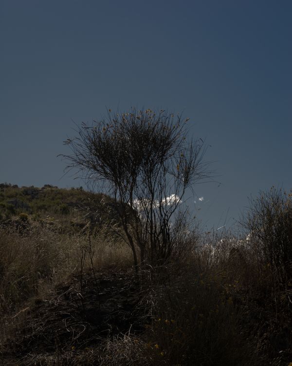 © Clara Marconato - Image from the Asteroid 2009 FJ1 photography project