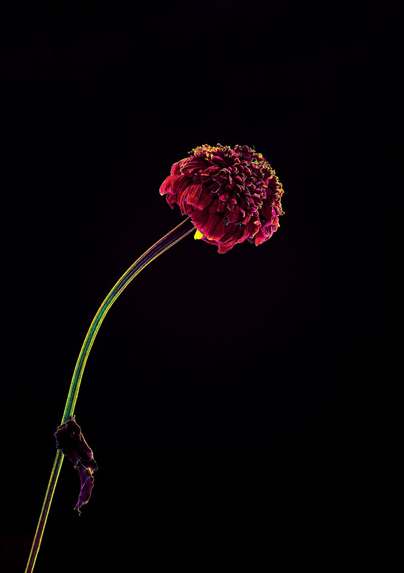 © Anna Biletska - Image from the Not Alive photography project