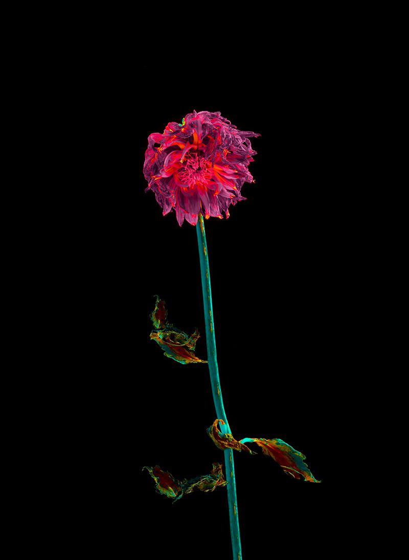 © Anna Biletska - Image from the Not Alive photography project