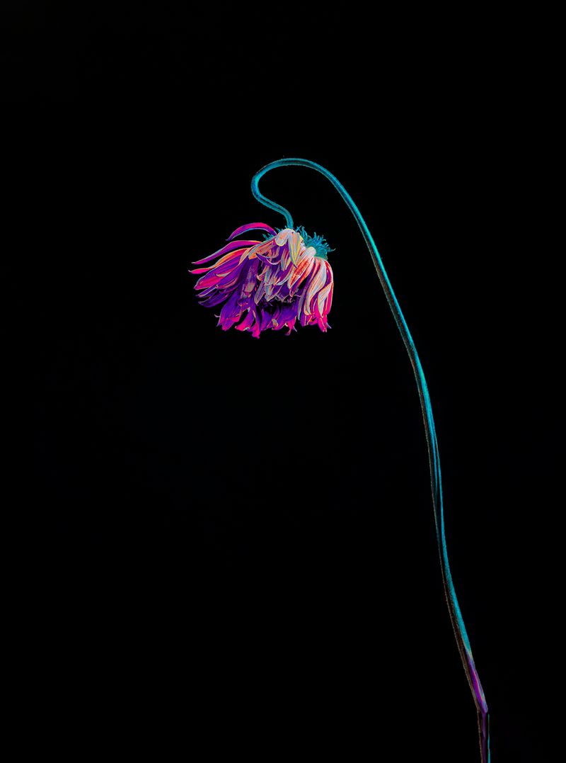 © Anna Biletska - Image from the Not Alive photography project