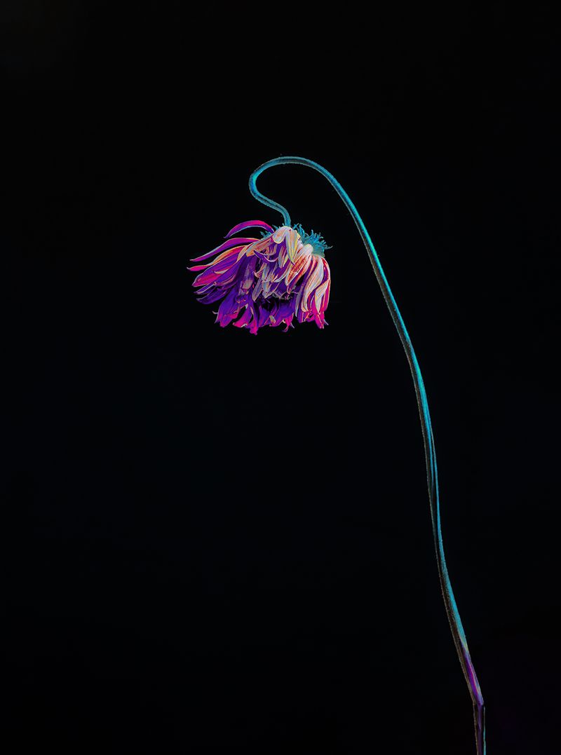 © Anna Biletska - Image from the Not Alive photography project