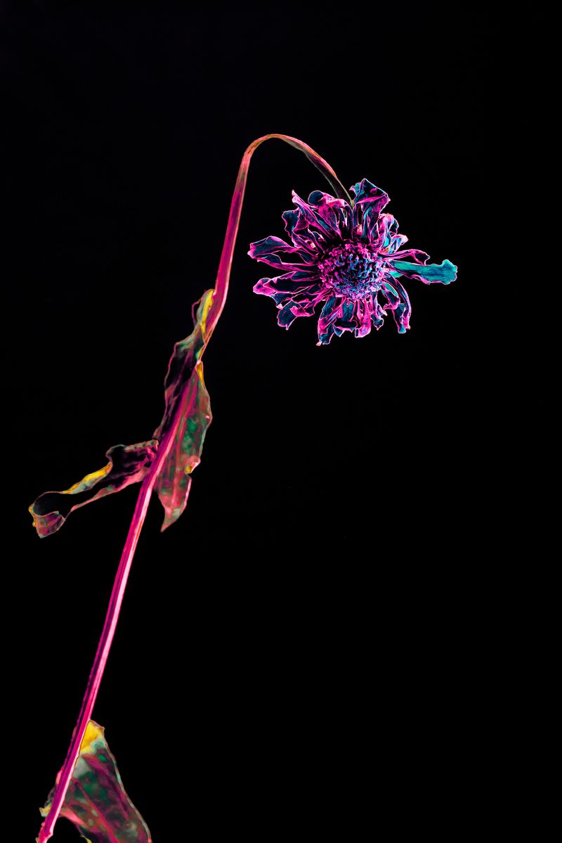© Anna Biletska - Image from the Not Alive photography project