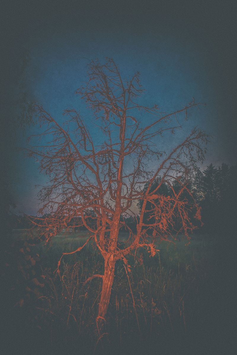 © Anna Biletska - Image from the Between the Lives photography project